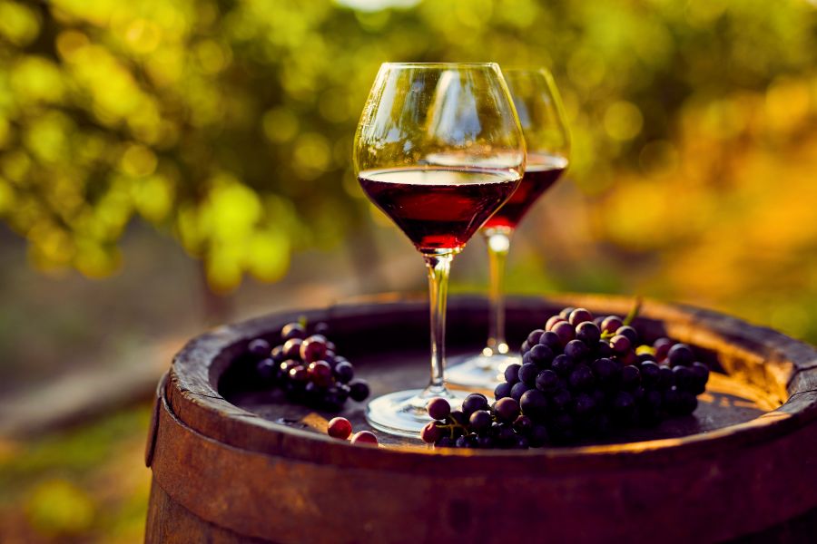 Taste, Travel, and Explore Italy’s Wine Regions from Tuscany to Piedmont