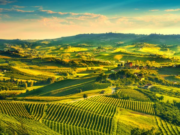 Taste, Travel, and Explore Italy’s Wine Regions from Tuscany to Piedmont